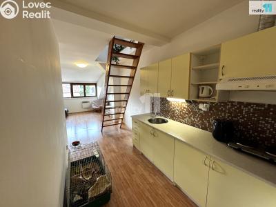 Rent apartment 1+KK Beroun, Pivovarská č. 2