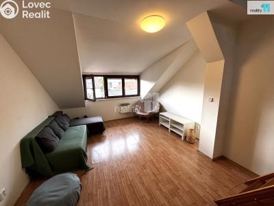 Rent apartment 1+KK Beroun, Pivovarská č. 4