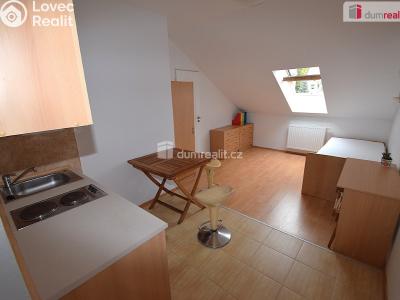 Pronájem bytu 1+KK Praha 5, Nad Palatou č. 3