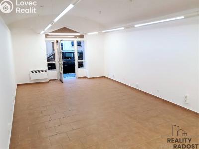 Rent commercial space Slaný, Kynského č. 1