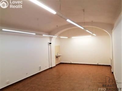 Rent commercial space Slaný, Kynského č. 2