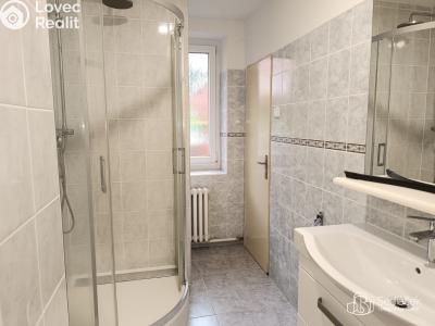 Rent apartment 1+1 Habartov, Čs. armády č. 4