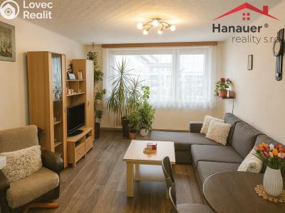 Rent apartment 2+KK Teplice, Jana Koziny č. 1