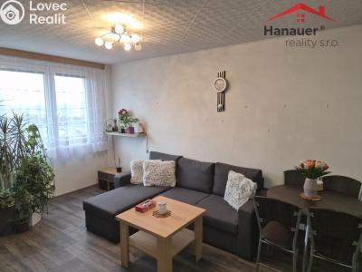 Rent apartment 2+KK Teplice, Jana Koziny č. 2