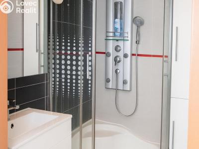 Rent apartment 2+KK Teplice, Jana Koziny č. 3