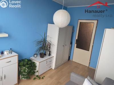 Rent apartment 2+KK Teplice, Jana Koziny č. 4