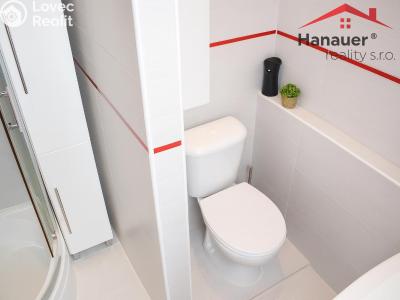 Rent apartment 2+KK Teplice, Jana Koziny č. 5