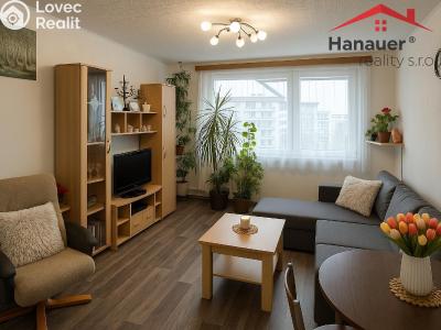 Rent apartment 2+KK Teplice, Jana Koziny č. 6