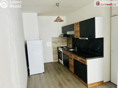 Оренда квартири 3+KK Zruč nad Sázavou, sad Míru č. 2