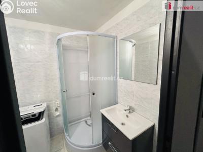 Оренда квартири 3+KK Zruč nad Sázavou, sad Míru č. 3