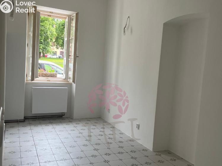 Rent commercial space Kostelec nad Černými lesy, náměstí Smiřických č. 8