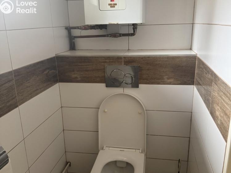 Prodej rodinného domu Kožušice č. 15