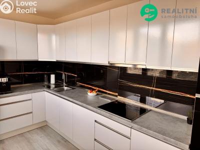 Rent apartment 3+1 Ostrava, Václava Košaře č. 4