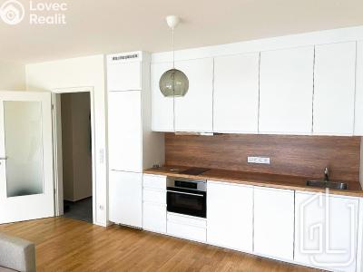 Pronájem bytu 1+KK Praha, Krásova č. 4