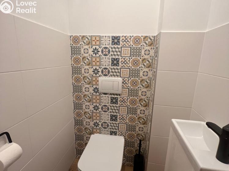 Pronájem bytu 3+KK Ropice č. 7