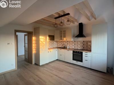 Rent apartment 3+KK Ropice č. 1