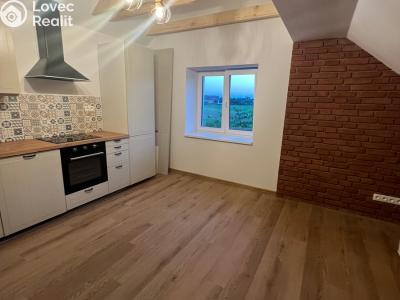 Rent apartment 3+KK Ropice č. 2