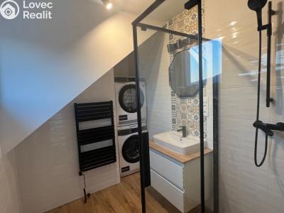 Rent apartment 3+KK Ropice č. 6