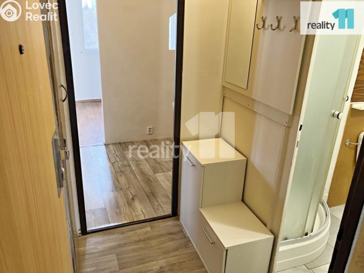 Pronájem bytu 2+KK Dobřany, 17. listopadu č. 9