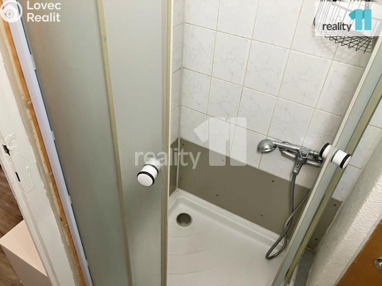 Pronájem bytu 2+KK Dobřany, 17. listopadu č. 11