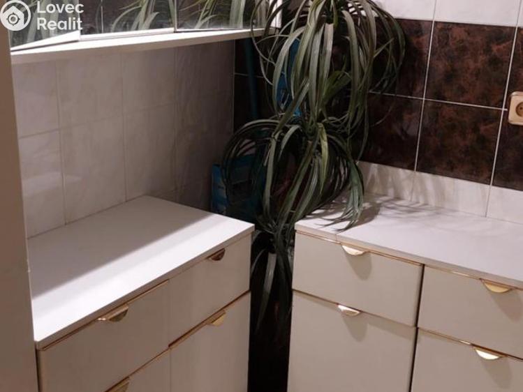 Pronájem bytu 3+1 Prostějov č. 9