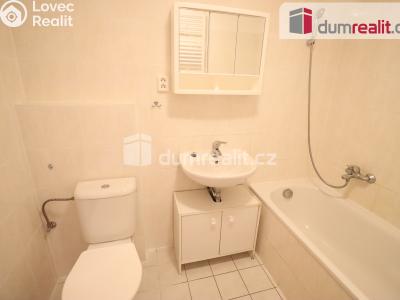 Pronájem bytu 1+KK Karlovy Vary, Nejdlova č. 5