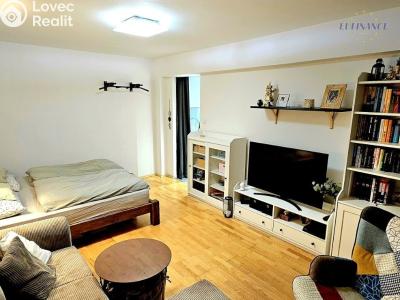 Prodej bytu 1+1 Kralupy nad Vltavou, sídl. Hůrka 1054 č. 1