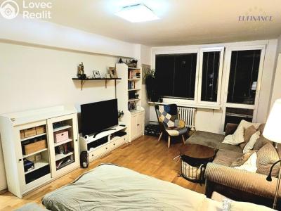 Prodej bytu 1+1 Kralupy nad Vltavou, sídl. Hůrka 1054 č. 2