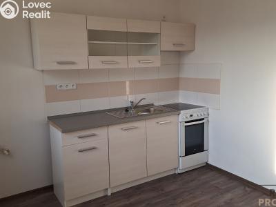 Pronájem bytu 1+1 Ústí nad Labem, Žukovova č. 2
