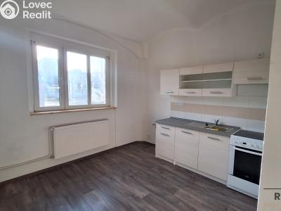 Pronájem bytu 1+1 Ústí nad Labem, Žukovova č. 3