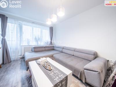 Sale apartment 3+1 Brandýs nad Labem-Stará Boleslav, Brázdimská č. 1