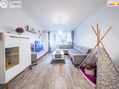 Sale apartment 3+1 Brandýs nad Labem-Stará Boleslav, Brázdimská č. 6
