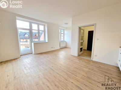 Pronájem bytu 1+KK Brno, Provazníkova č. 1