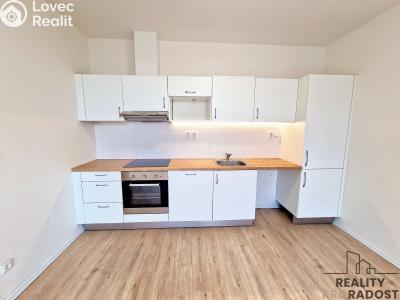 Rent apartment 1+KK Brno, Provazníkova č. 2