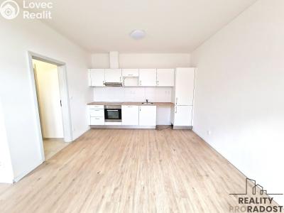 Rent apartment 1+KK Brno, Provazníkova č. 3