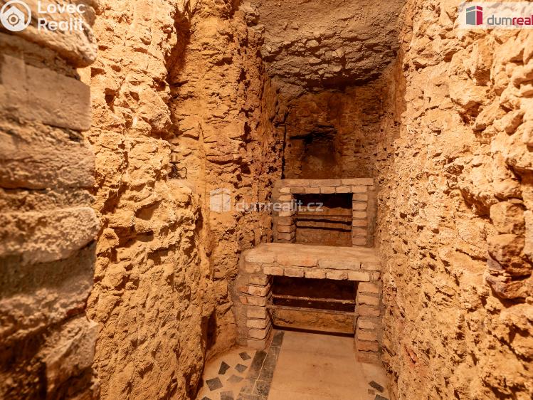 Prodej obchodního prostoru Mladá Boleslav, Viničná č. 13