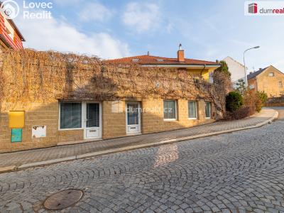 Sale commercial space Mladá Boleslav, Viničná č. 1