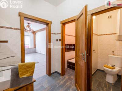 Sale commercial space Mladá Boleslav, Viničná č. 5