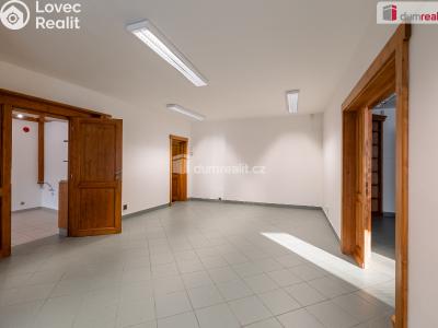 Sale commercial space Mladá Boleslav, Viničná č. 6