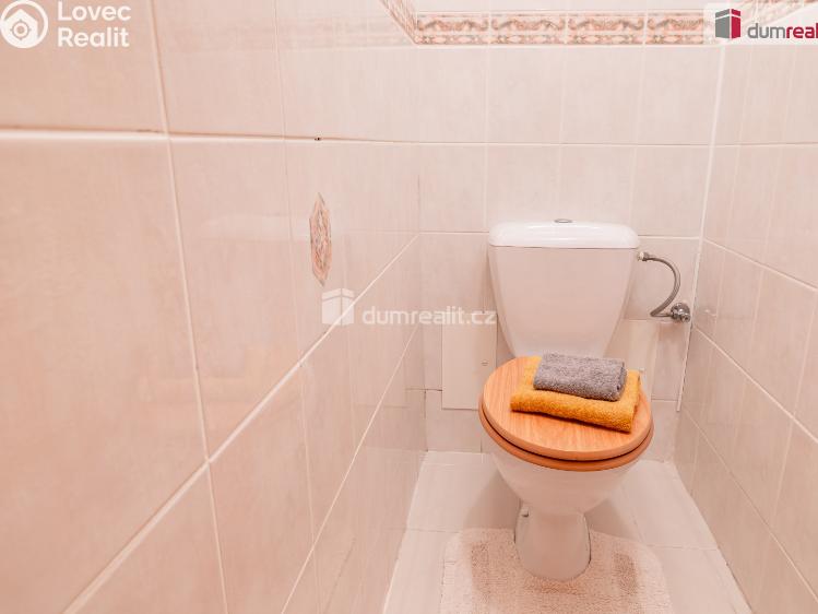 Prodej rodinného domu Mladá Boleslav, Viničná č. 9