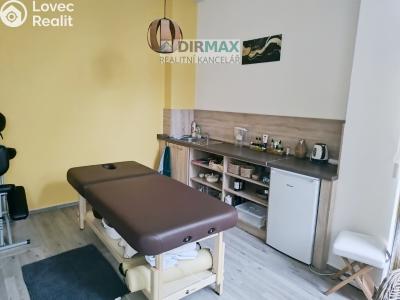 Rent office space Plzeň, Tylova č. 1