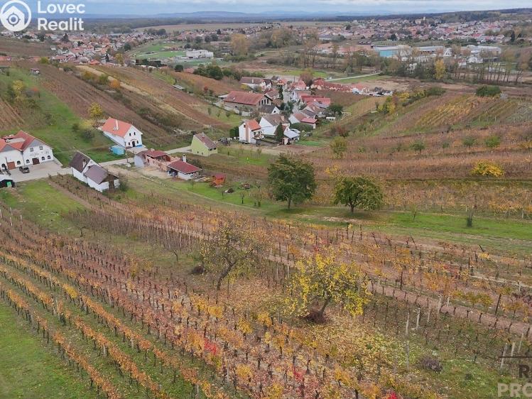 Prodej vinného sklepa Mutěnice č. 23