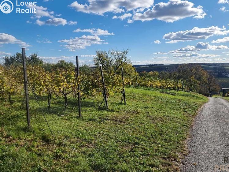 Prodej vinného sklepa Mutěnice č. 24
