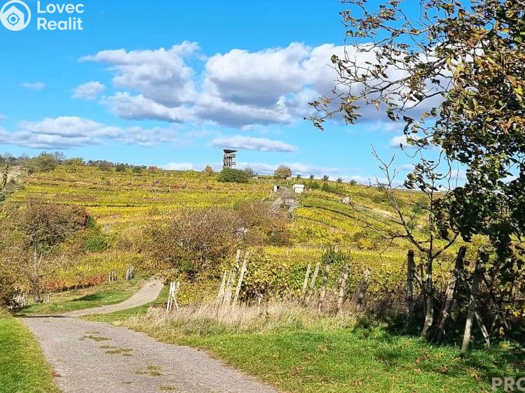 Prodej vinného sklepa Mutěnice č. 26