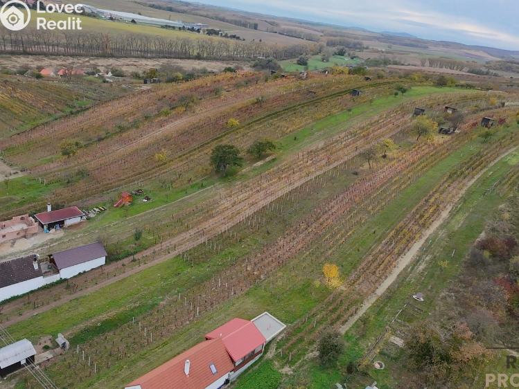 Prodej vinného sklepa Mutěnice č. 30