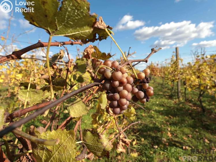 Prodej vinného sklepa Mutěnice č. 22