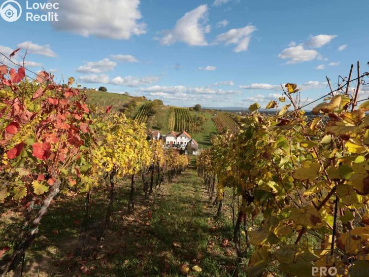 Prodej vinného sklepa Mutěnice č. 25