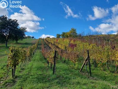 Prodej vinného sklepa Mutěnice č. 2