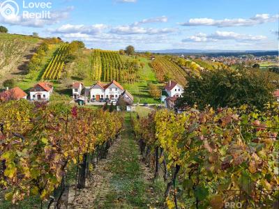 Prodej vinného sklepa Mutěnice č. 3