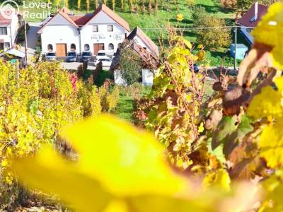 Prodej vinného sklepa Mutěnice č. 4